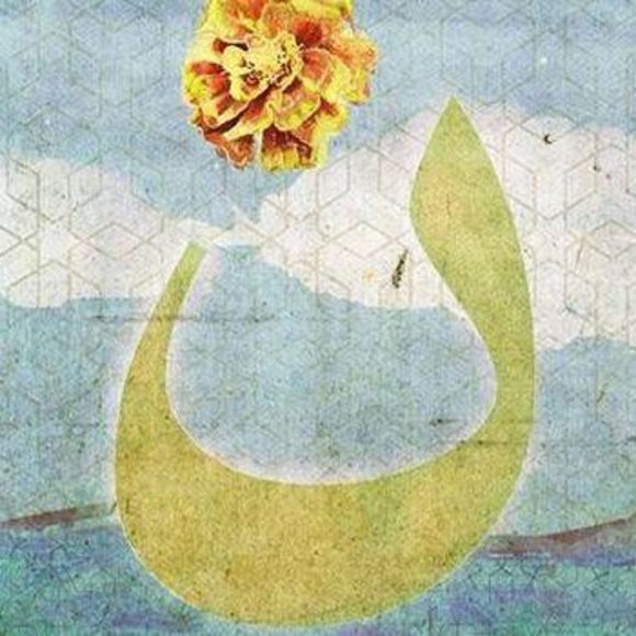 Meet your Posher, Sharon - Picture 1 of 1